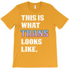 This is What Trans Looks Like T-Shirt