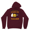 nothing scares me i'm a teacher Unisex Hoodie