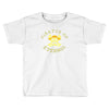 pirates of eternia Toddler T-shirt