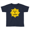 You Are My Sunshine Toddler T-shirt