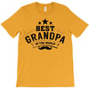 the best grandpa T-Shirt