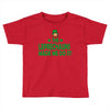 leprechauns made me do it Toddler T-shirt