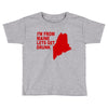 funny maine state Toddler T-shirt