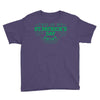this is my st. patrick's day shirt Youth Tee