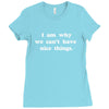 i am why we can't have nice things Ladies Fitted T-Shirt