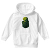 pocket raptor Youth Hoodie