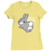 soft ass Ladies Fitted T-Shirt
