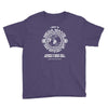 mega man's bar mitzvah Youth Tee