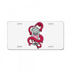 spray paint License Plate