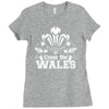come on wales funny nations rugby Ladies Fitted T-Shirt