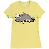 meet my home Ladies Fitted T-Shirt