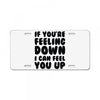 new rude birthday present License Plate