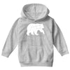 Little Dipper Youth Hoodie