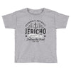 Ferndale Detroit Toddler T-shirt