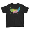 periodic table of america Youth Tee