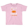 sweet as pumpkin pi Toddler T-shirt