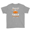 sweet as pumpkin pi Youth Tee