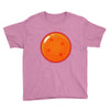 Dragon Ball 4 Star Youth Tee