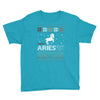 santa aries xhristmas ugly t shirts Youth Tee