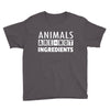 Animals Are Not Ingredients Youth Tee
