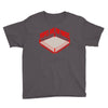 washburn high school buffalos wrestling Youth Tee
