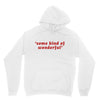 Some Kind Of Wonderful Unisex Hoodie