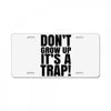 don't grow up License Plate