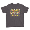 apples and pears Youth Tee