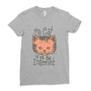 my cat is on the internet Ladies Fitted T-Shirt