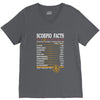 Scorpio Facts Zodiac V-Neck Tee