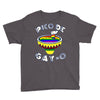 pico de gayo lgbt Youth Tee