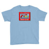 in case of gamer invasion Youth Tee