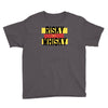 risky after whisky Youth Tee
