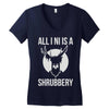 all i ni Women's V-Neck T-Shirt