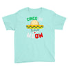 cinco de meow Youth Tee