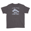 learn polish peace Youth Tee