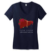 liver cancer awareness Women's V-Neck T-Shirt