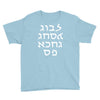 go f yourself hebrew letter upside down funny Youth Tee