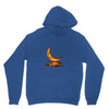 Ay 2 Unisex Hoodie