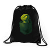 pocket raptor Drawstring Bags