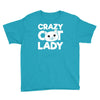 crazy cat lady Youth Tee