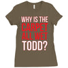 why is the carpet wet todd Ladies Fitted T-Shirt