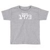 made in 1973 birthday celebration funny party Toddler T-shirt