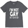 new i'm not gay but $20 is $20 V-Neck Tee