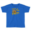 rock fact Toddler T-shirt