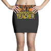 kindergarten teacher Mini Skirts