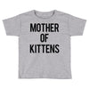mother of kittens Toddler T-shirt