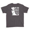 my dog think i m perfect who cares what anyone else things Youth Tee