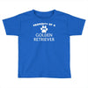 property of a golden retriever Toddler T-shirt