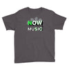 everyone just streams Youth Tee